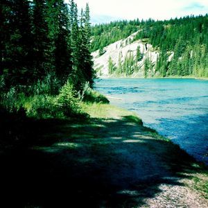 Meet your Posher, Cody